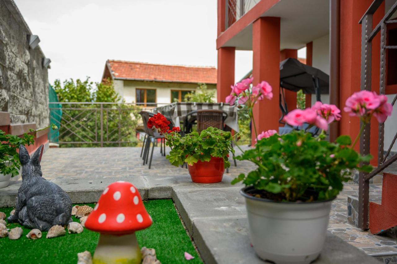 Къща За Гости „Жоро И Дани “ Villa Sapareva Banya Exterior photo